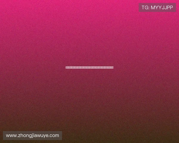 王文涛回应安世半导体事件强调维护产业链安全推动半导体行业健康发展 王文涛回应安世半导体事件强调维护产业链安全推动半导体行业健康发展